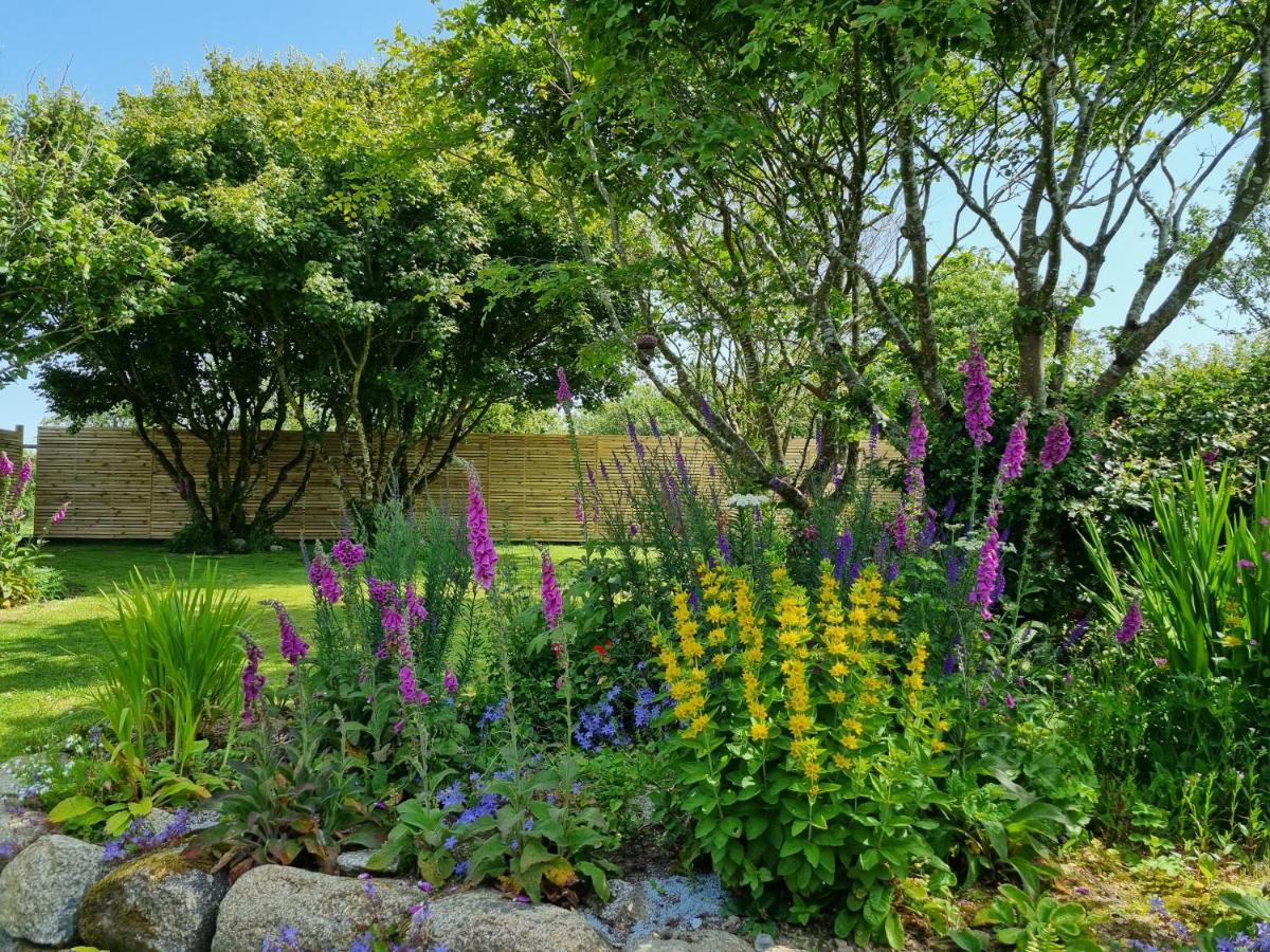 Hallegan Annexe With Private Garden And Woodland Camborne Exterior foto